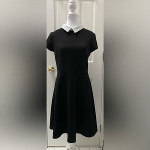 Pappagallo Black Fit and Flare Dress Size 6